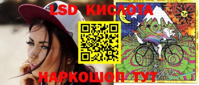 сатива Будённовск
