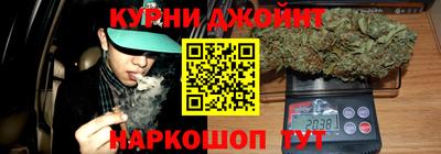 сатива Будённовск