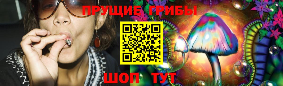 Псилоцибиновые грибы Cubensis  Галлюциногенные грибы GOLDEN TEACHER  Вход с VPN  Ликино-Дулёво 